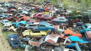 Illustration for article titled Is This The World's Largest Vintage Mustang Junkyard?